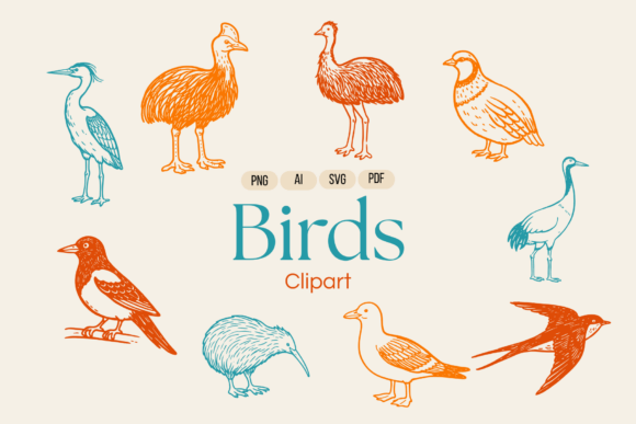 Avian Birds Vector Illustrations: Graphics Review