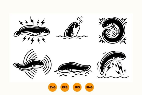 Electric Eel SVG Graphics and Illustrations Review
