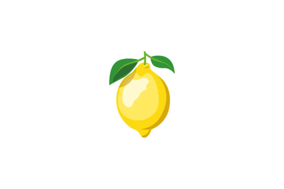 Fruit Lemon Detail Illustrations Vector: Graphics Review