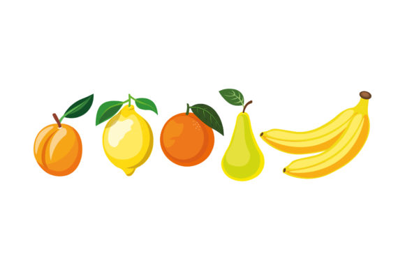 Fruit Set Detail Graphics & Illustrations Review